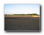 2008-05-11 (16) Potato fields